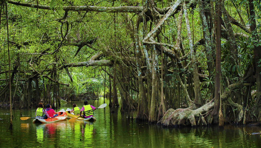 Tachai Island